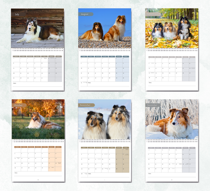 Collie Calendar 2026