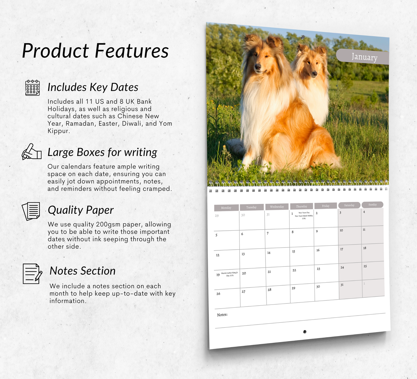Collie Calendar 2026