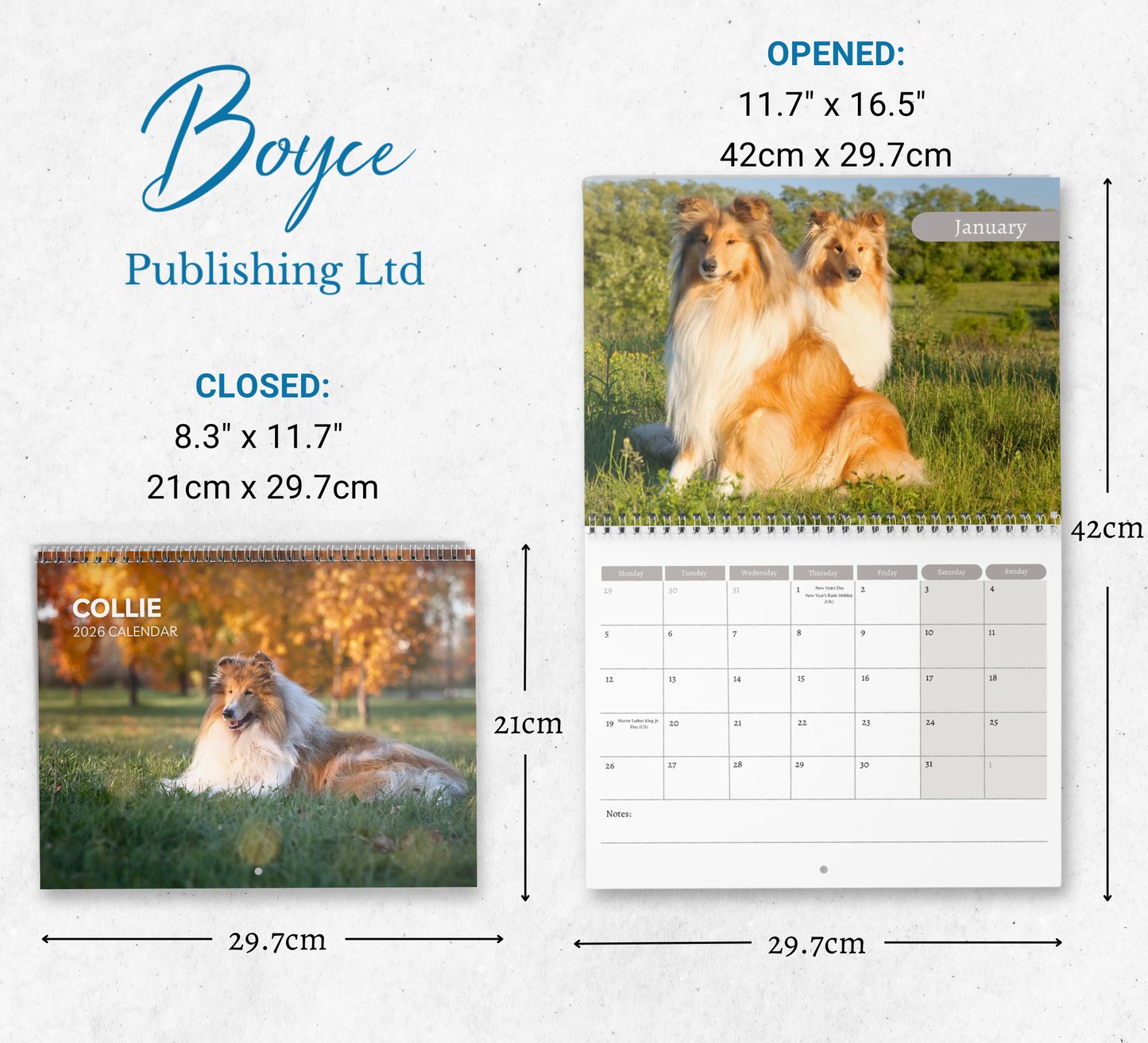 Collie Calendar 2026