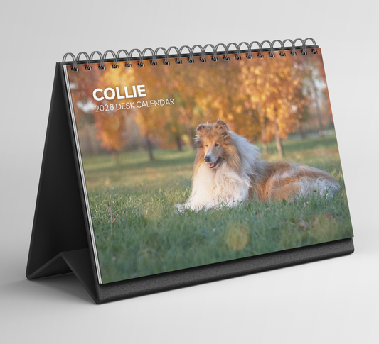 Collie Desk Calendar 2026-2027