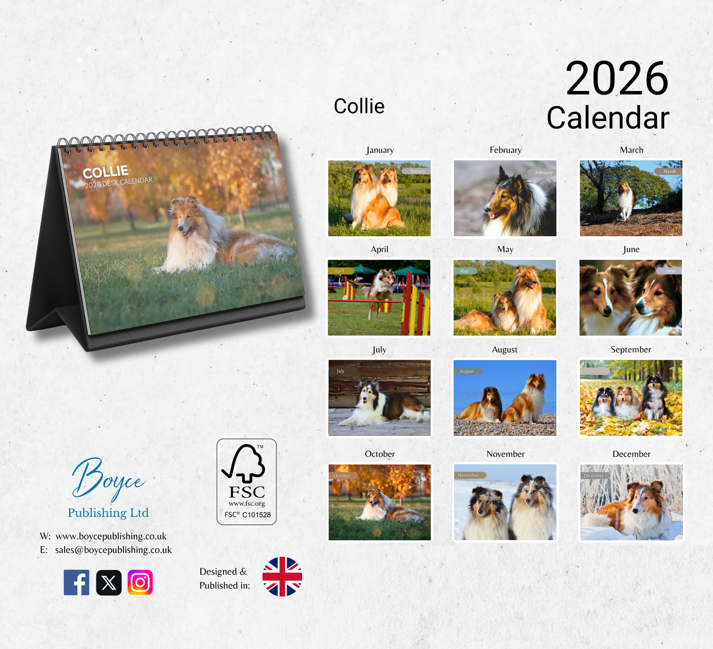 Collie Desk Calendar 2026-2027