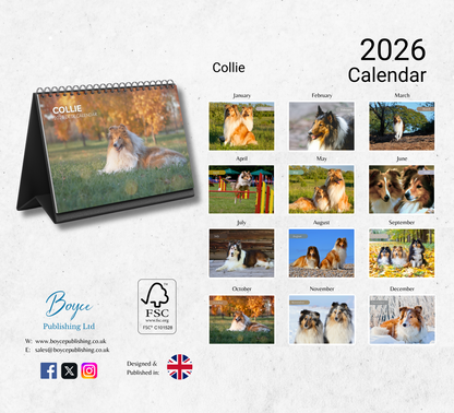 Collie Desk Calendar 2026-2027