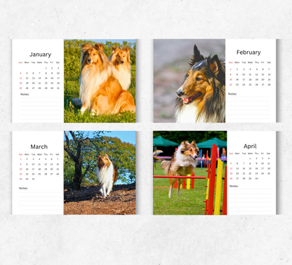 Collie Desk Calendar 2026-2027