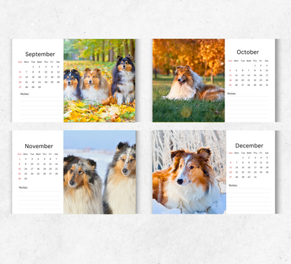 Collie Desk Calendar 2026-2027