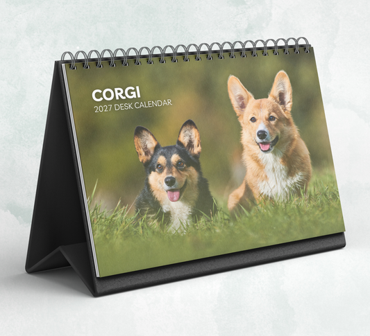 Corgi Desk Calendar 2027-2028