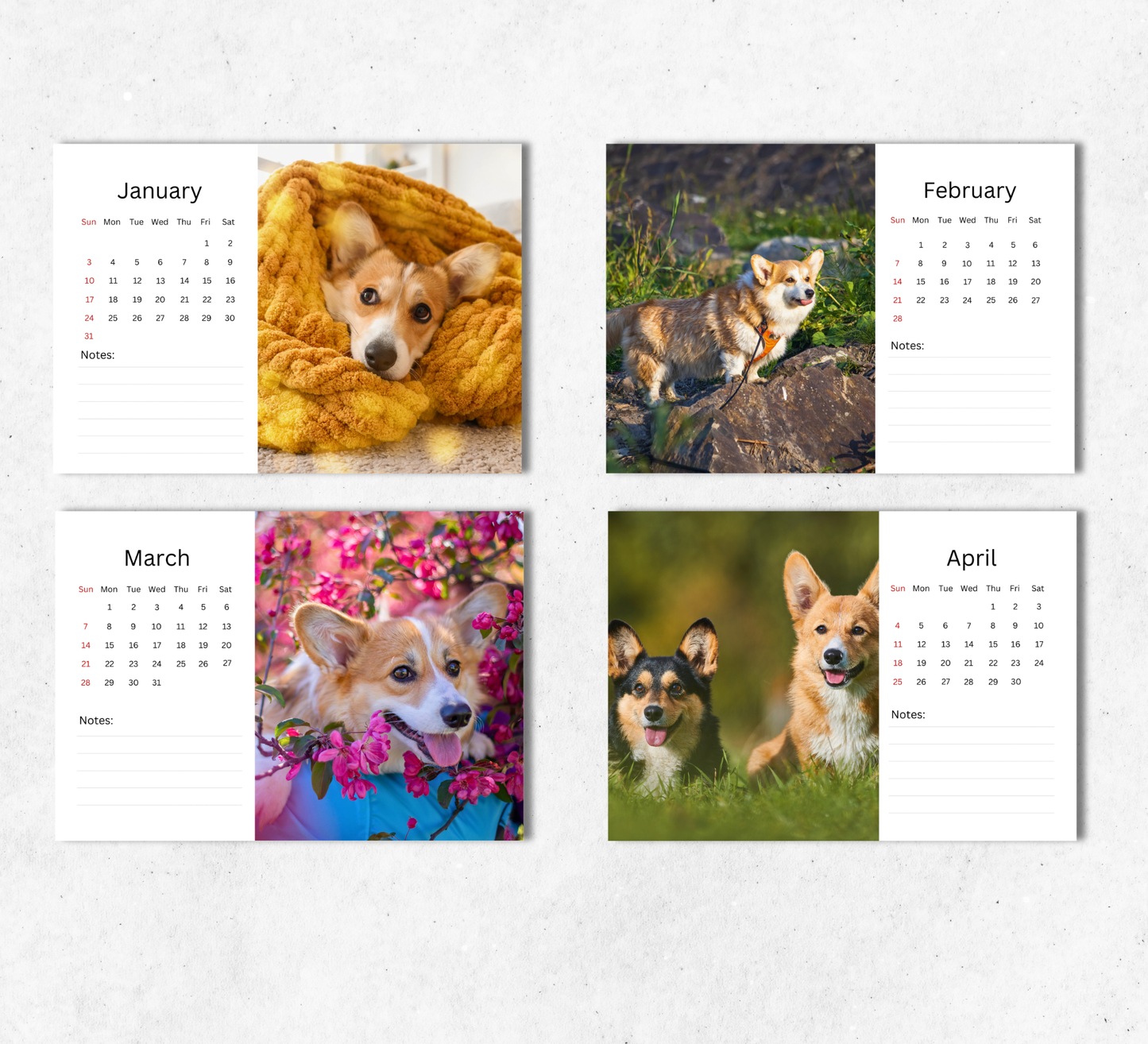 Corgi Desk Calendar 2027-2028