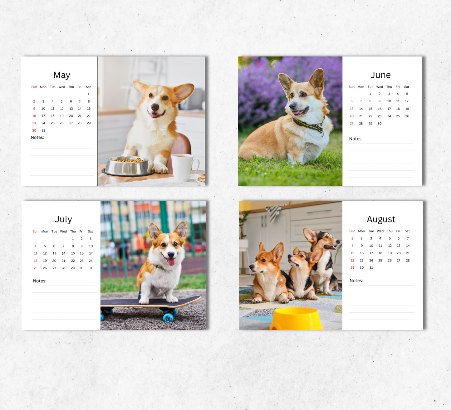 Corgi Desk Calendar 2027-2028
