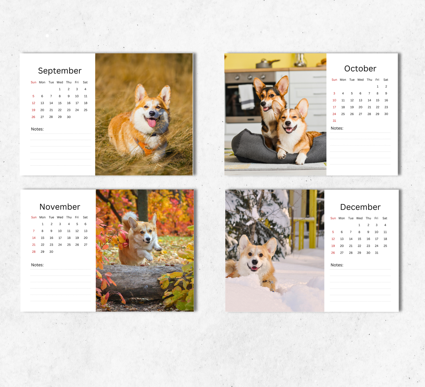 Corgi Desk Calendar 2027-2028