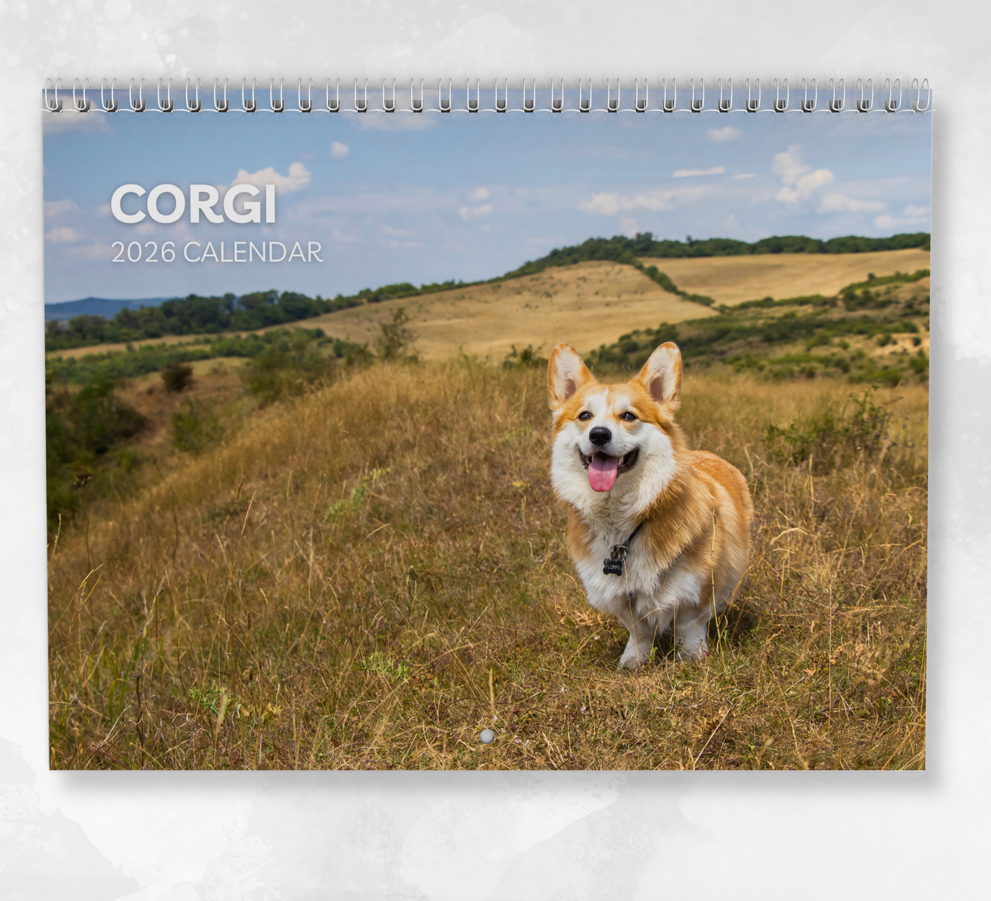 Corgi Calendar 2026
