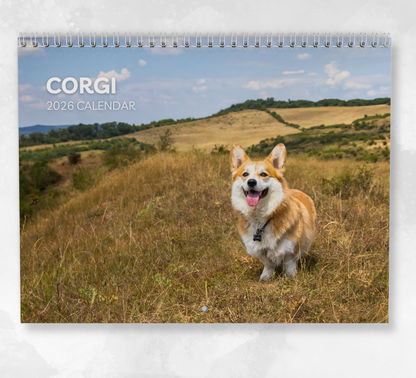 Corgi Calendar 2026