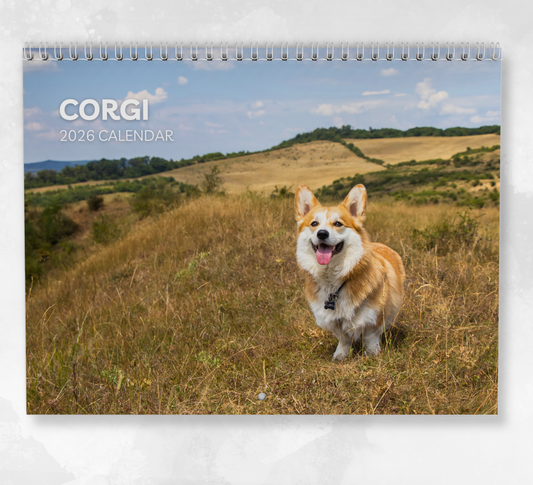 Corgi Calendar 2026