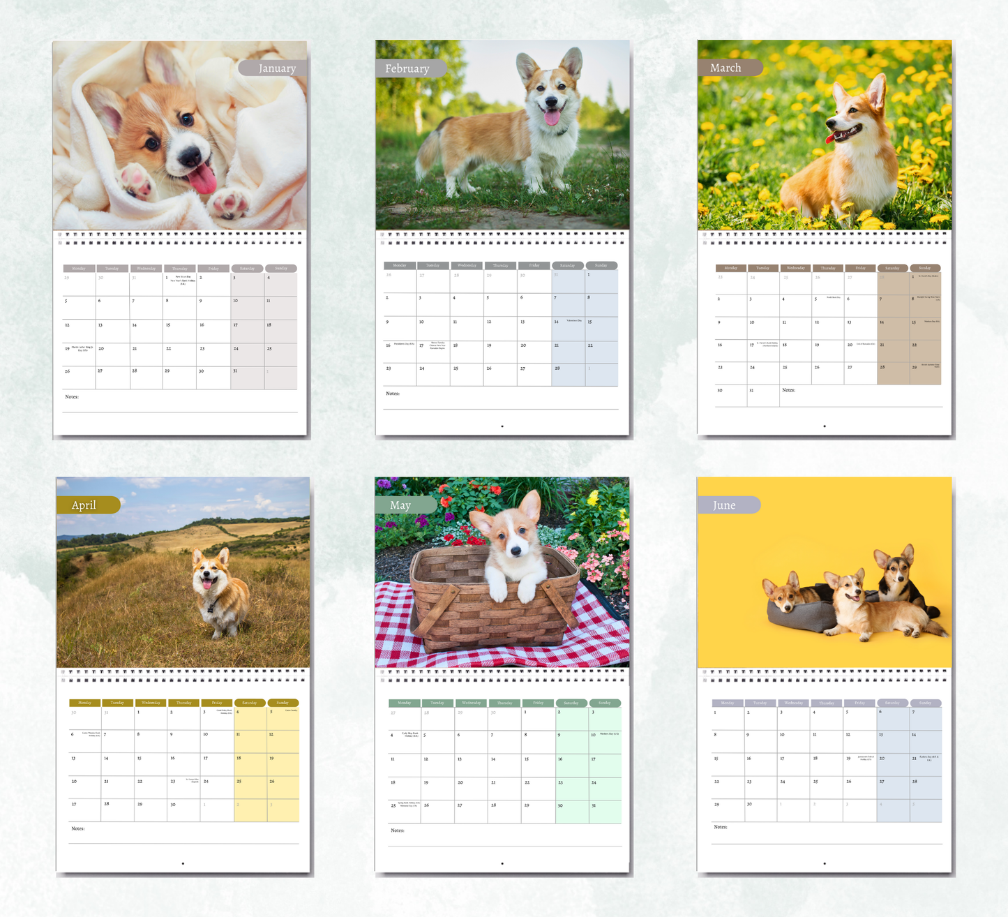 Corgi Calendar 2026