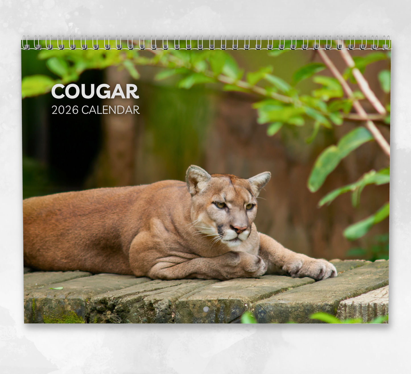 Cougar Calendar 2026