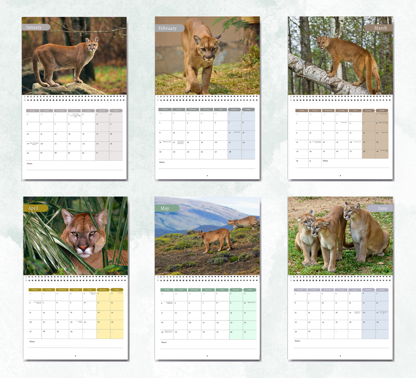 Cougar Calendar 2026