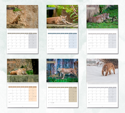 Cougar Calendar 2026