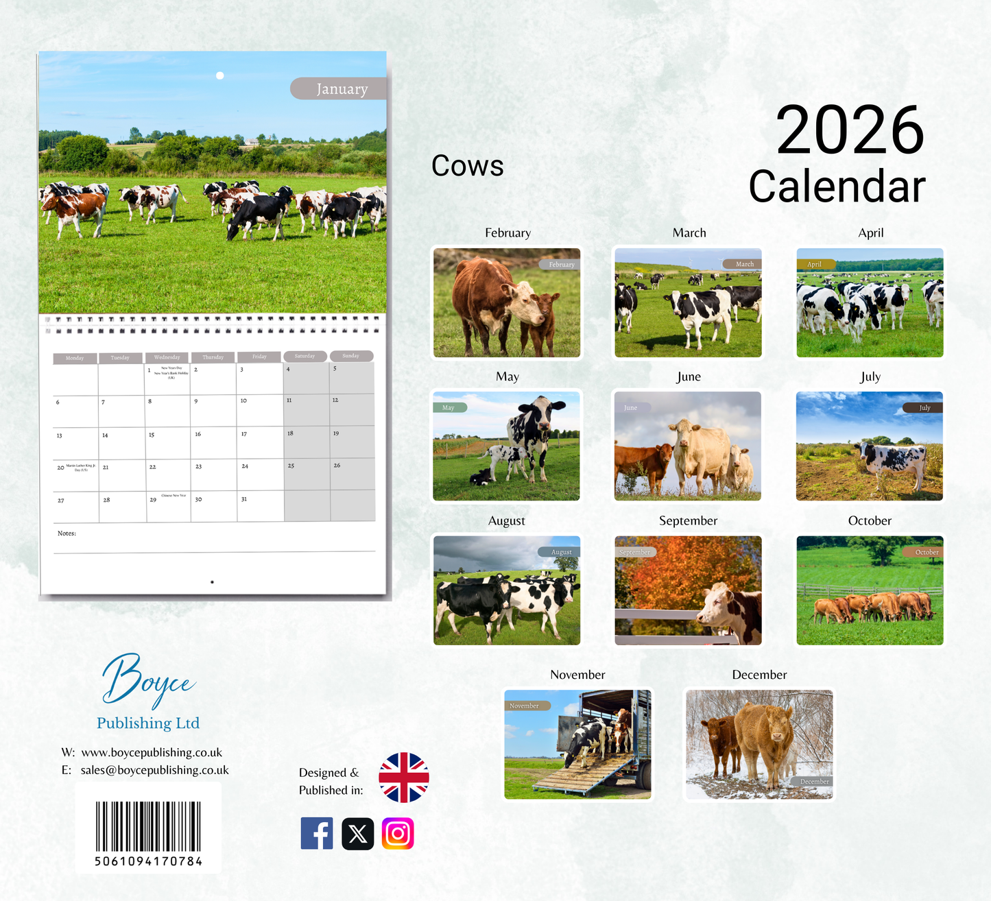Cows Calendar 2026