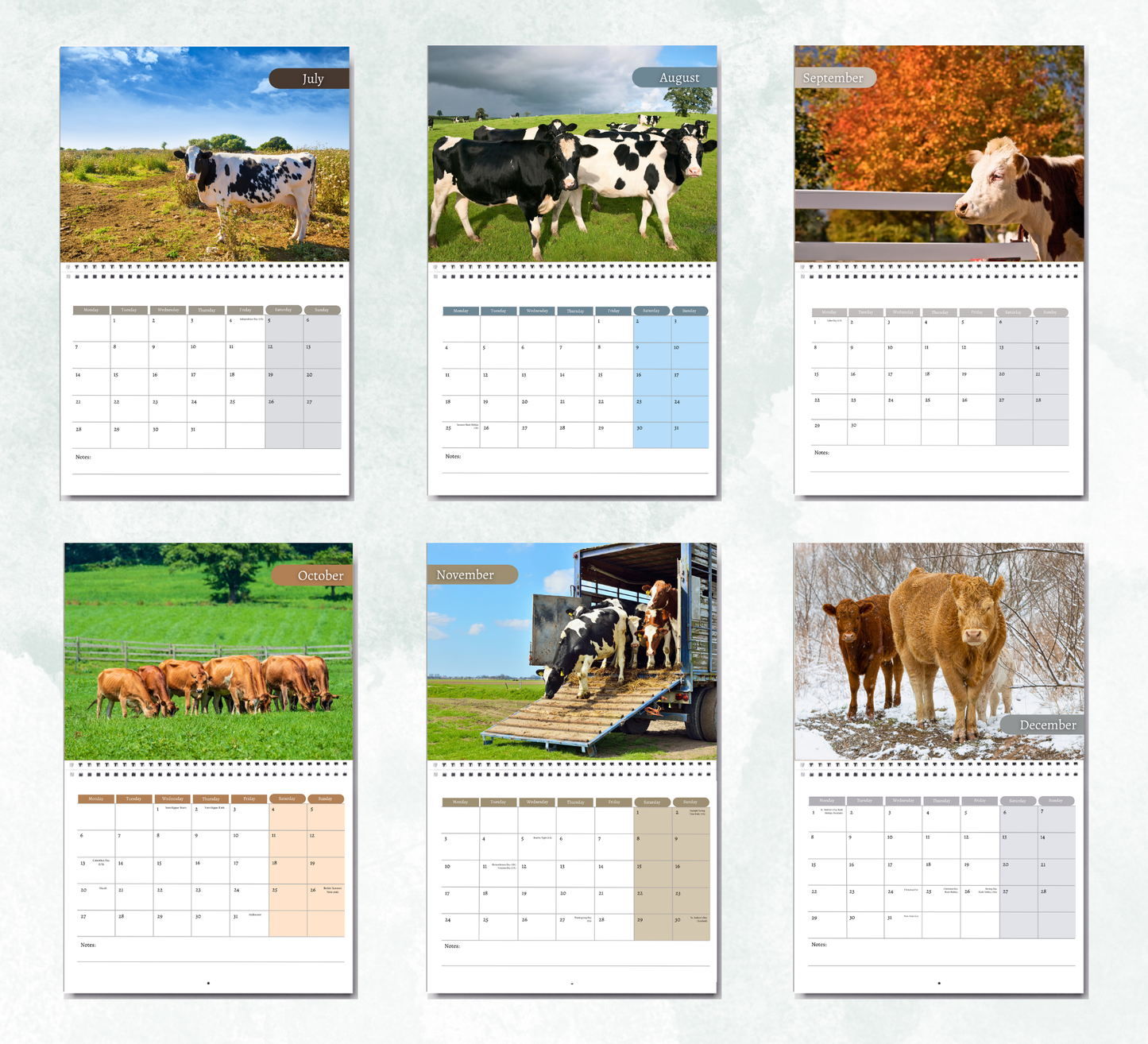 Cows Calendar 2026