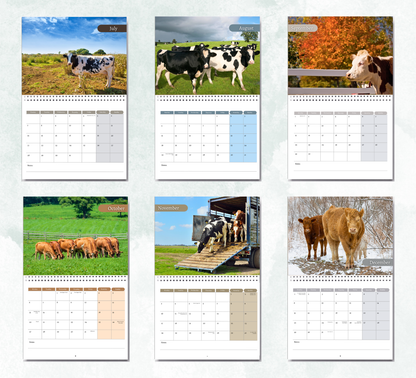 Cows Calendar 2026