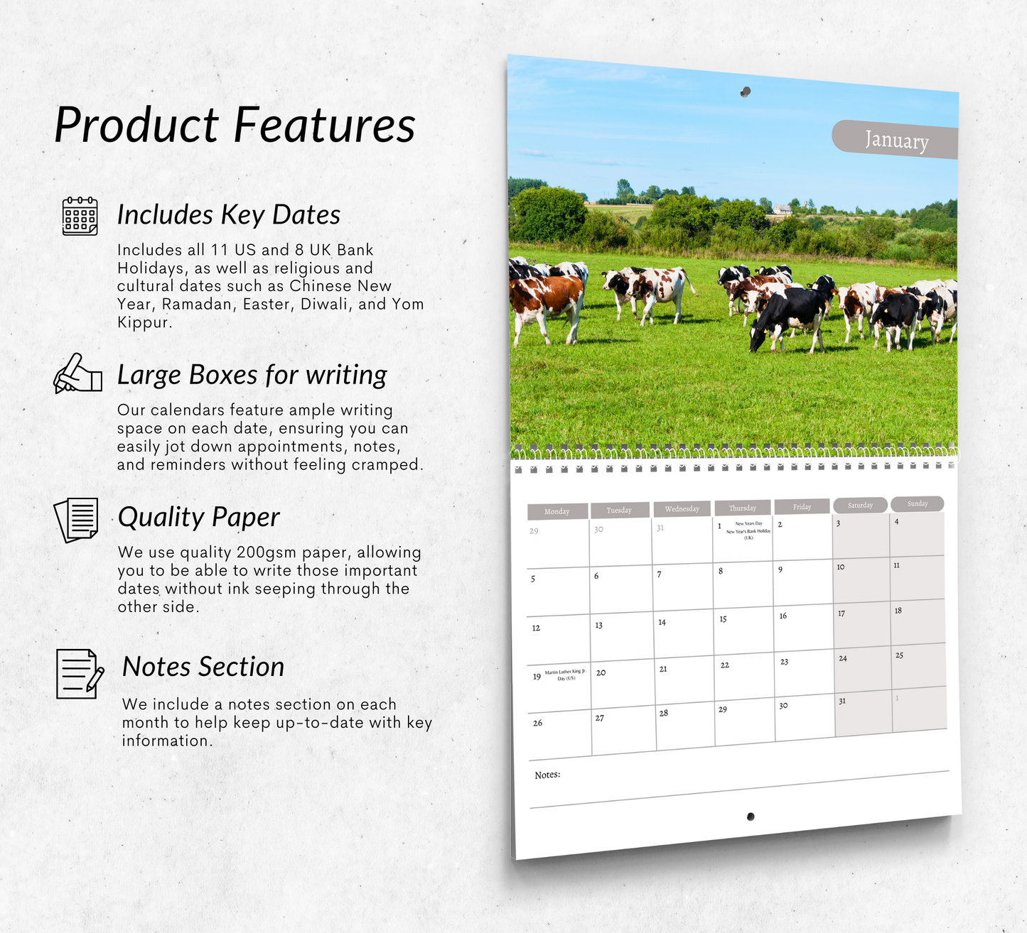 Cows Calendar 2026