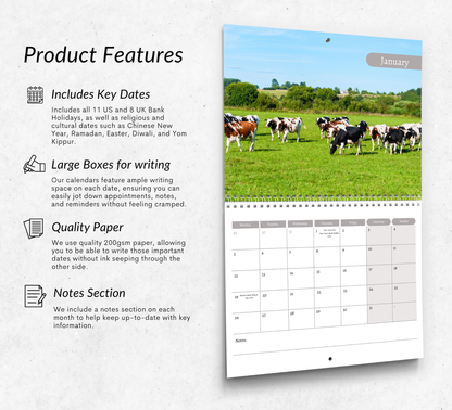 Cows Calendar 2026
