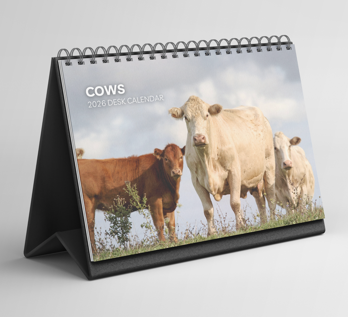 Cows Desk Calendar 2026-2027