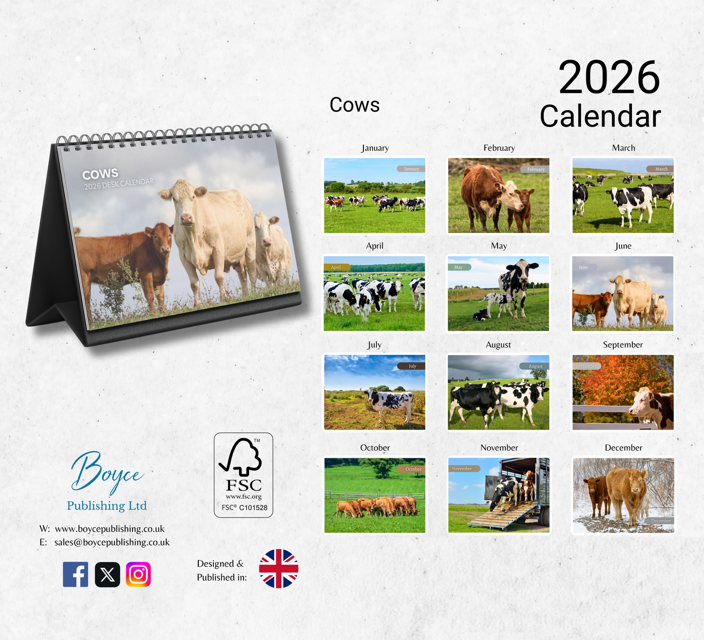 Cows Desk Calendar 2026-2027