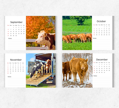 Cows Desk Calendar 2026-2027