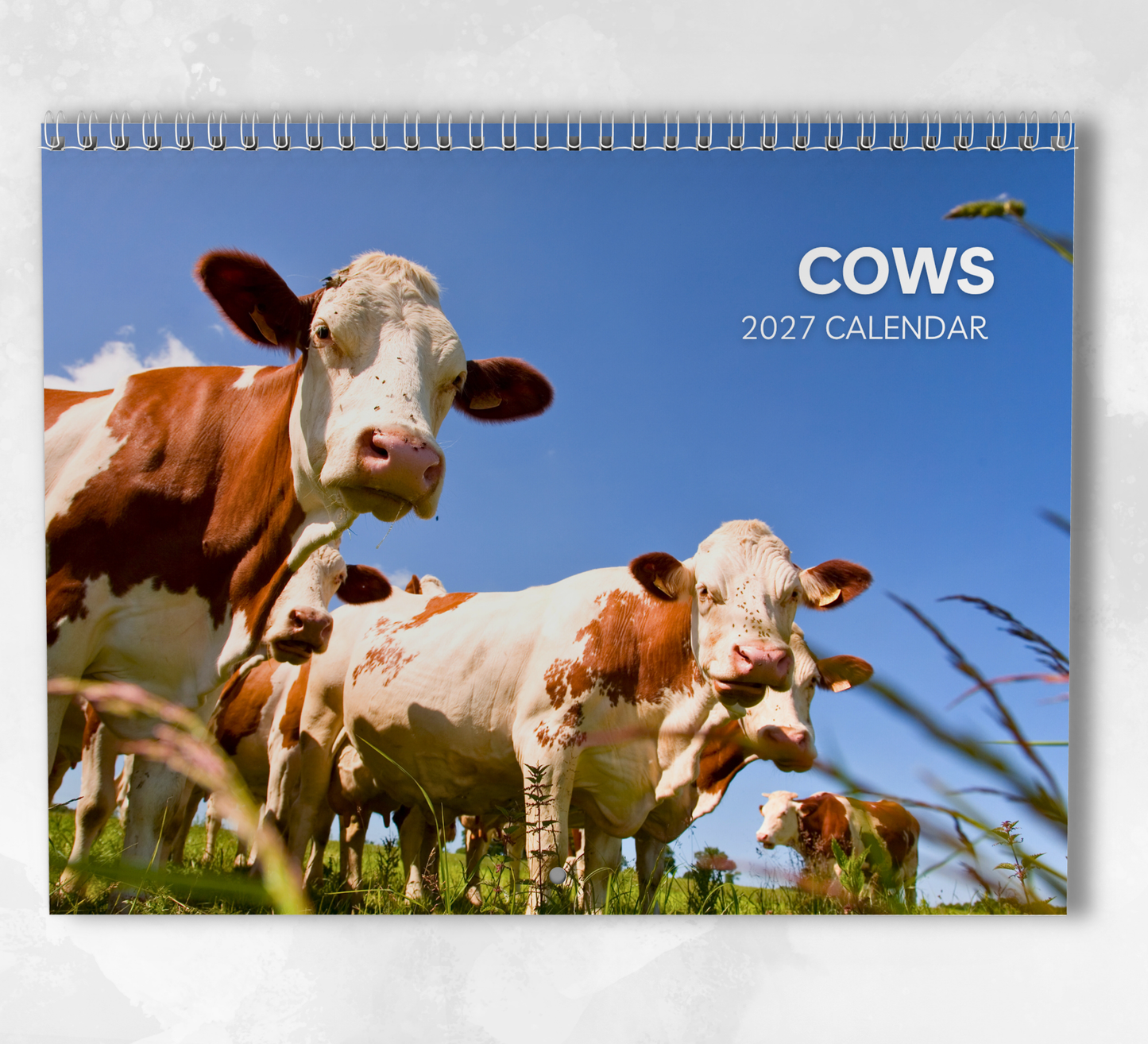 Cow Calendar 2027