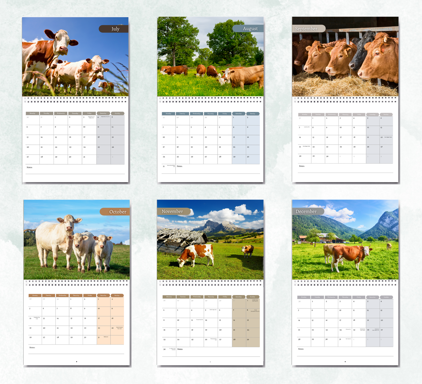 Cow Calendar 2027