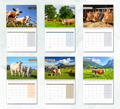 Cow Calendar 2027