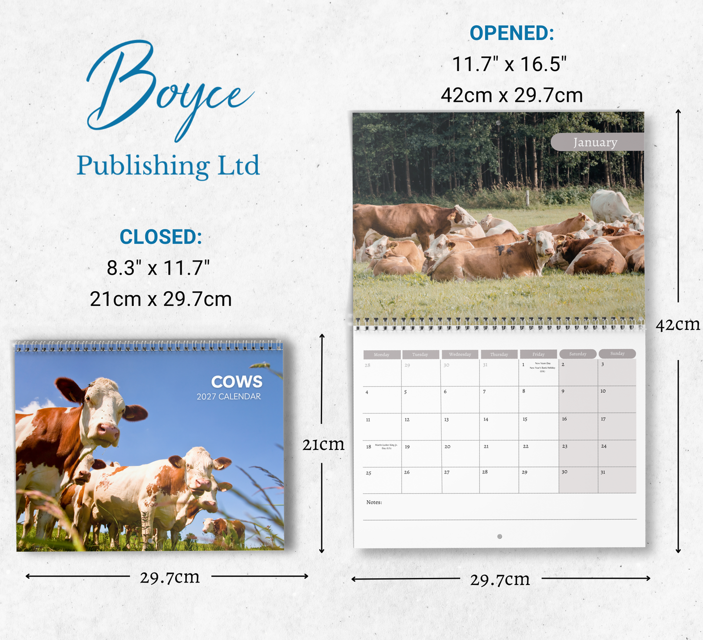 Cow Calendar 2027