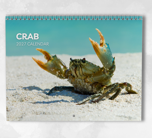 Crab Calendar 2027