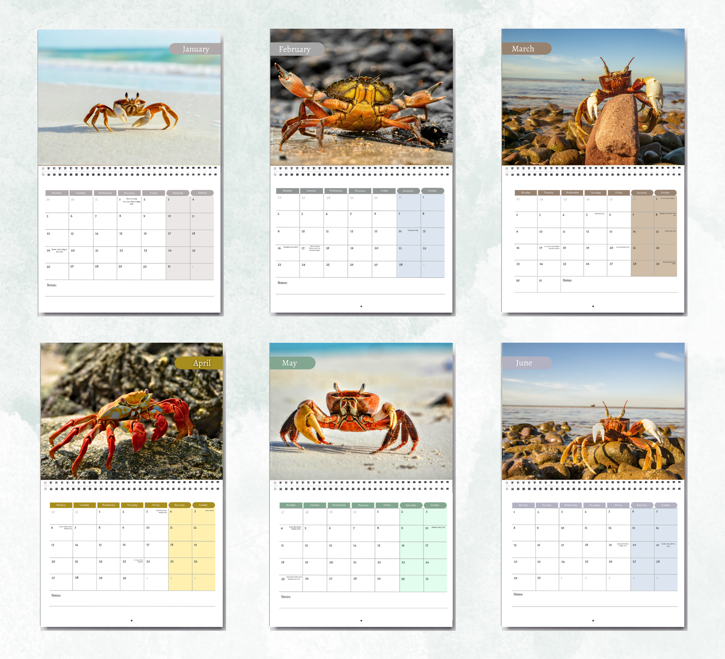 Crab Calendar 2027