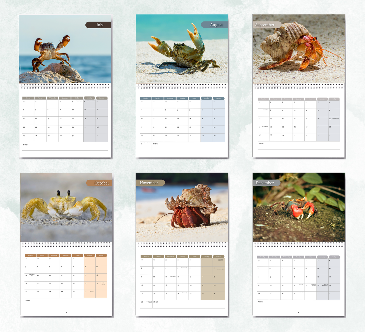 Crab Calendar 2027