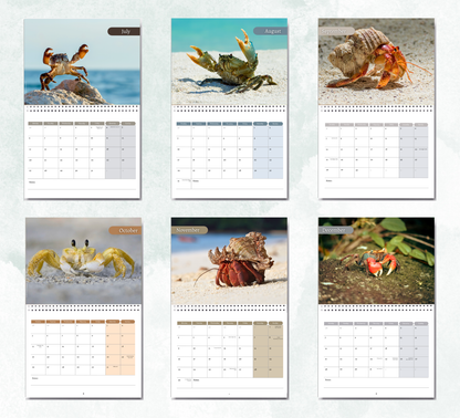 Crab Calendar 2027