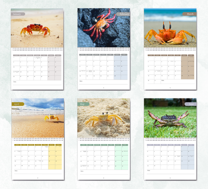 Crab Calendar 2026