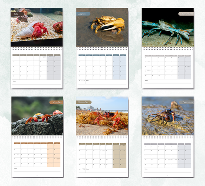 Crab Calendar 2026