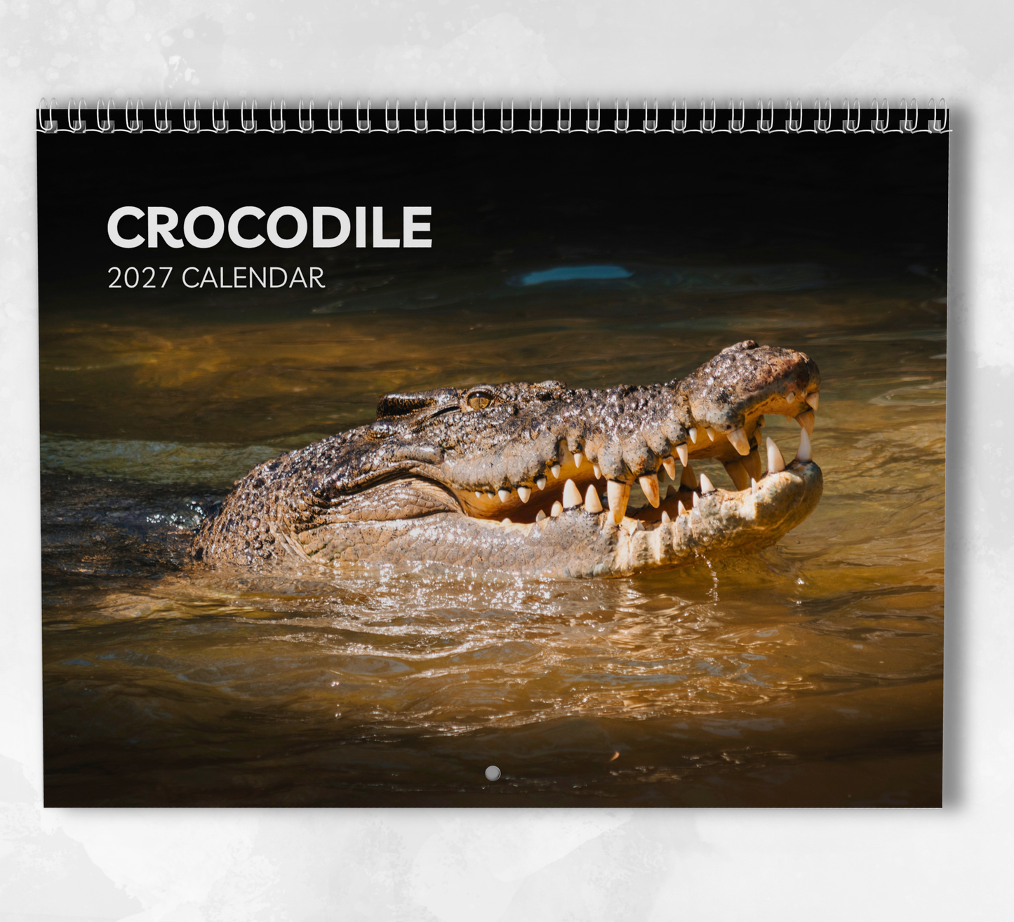 Crocodile Calendar 2027