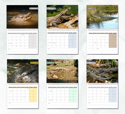 Crocodile Calendar 2027