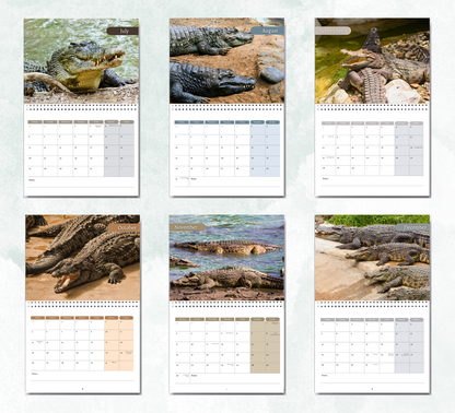 Crocodile Calendar 2027