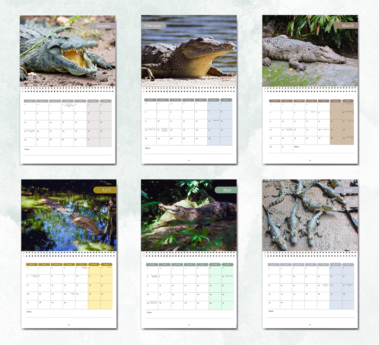 Crocodile Calendar 2026