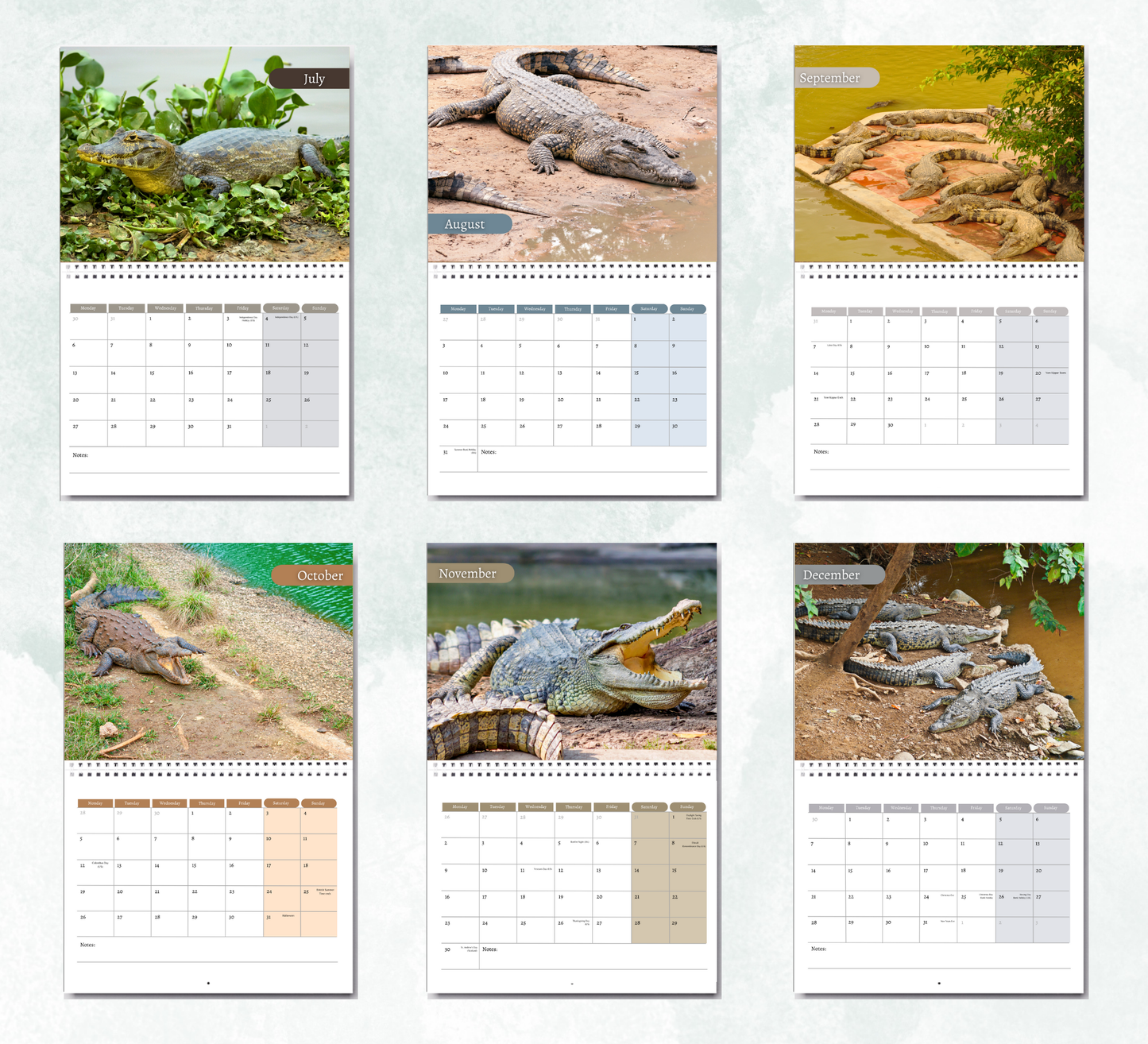Crocodile Calendar 2026