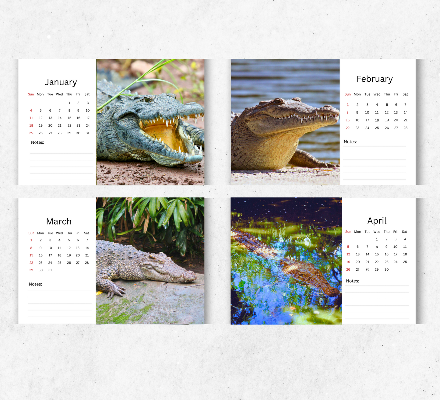 Crocodile Desk Calendar 2026-2027
