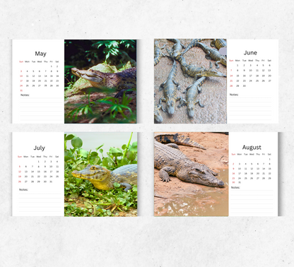 Crocodile Desk Calendar 2026-2027