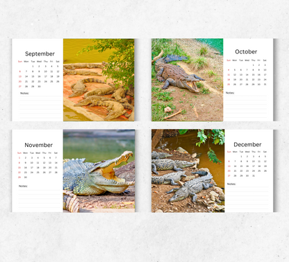 Crocodile Desk Calendar 2026-2027