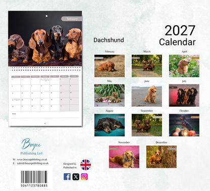 Dachshund Calendar 2027
