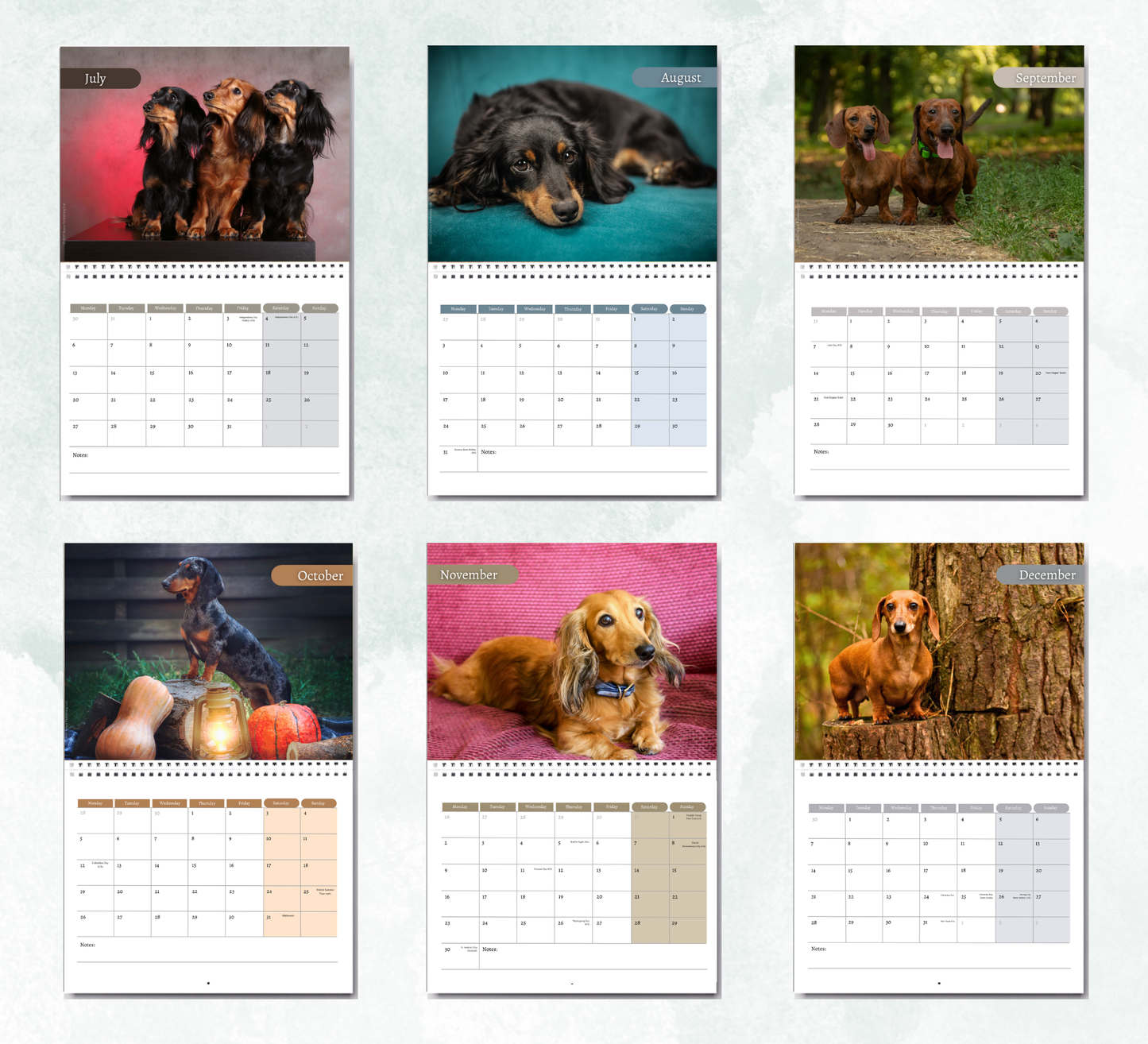 Dachshund Calendar 2027