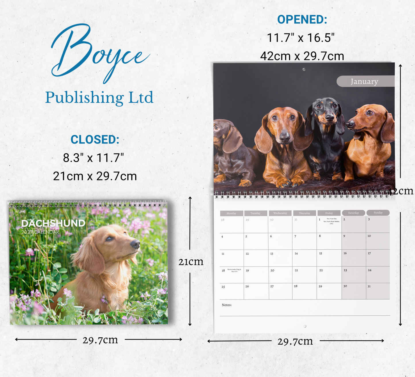 Dachshund Calendar 2027