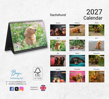 Dachshund Desk Calendar 2027-2028