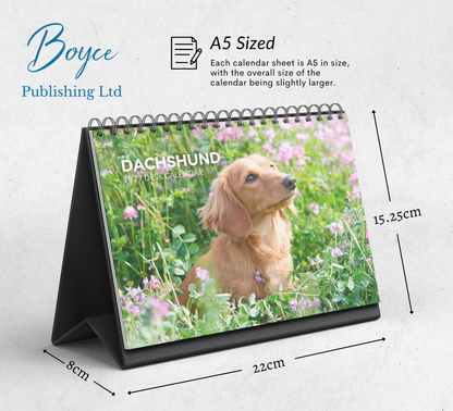 Dachshund Desk Calendar 2027-2028